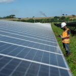 UFV Granja Marileusa (6) horizontal